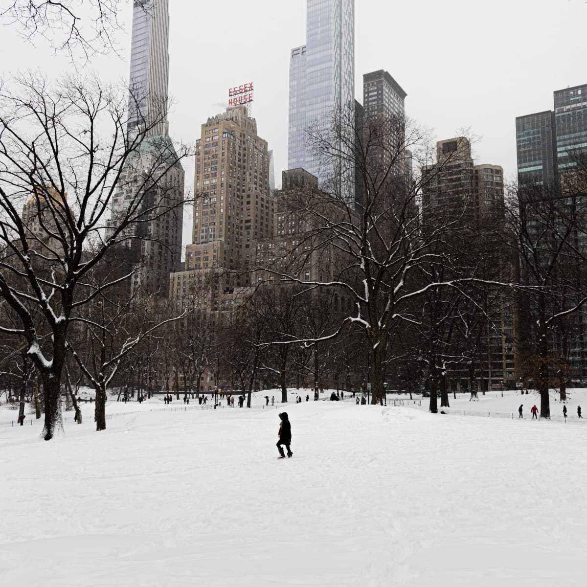 List 99+ Pictures the longer i live the more beautiful life becomes Latest